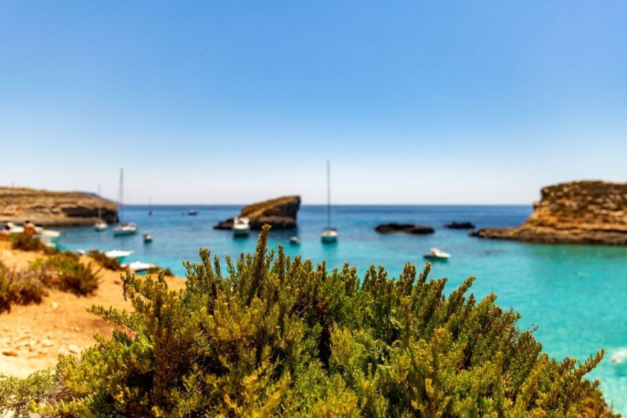 Malta: Blue Lagoon, Comino, and Sea Caves Tour - Who Will Appreciate This Tour?