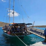 Malta: Comino, Blue Lagoon, + Sea Caves Day Trip - A Detailed Look at the Malta Sea Caves and Blue Lagoon Trip