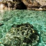 MALTA Comino BlueLagoon 3 hours Private Boat trips - Final Thoughts