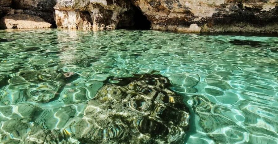 MALTA Comino BlueLagoon 3 hours Private Boat trips - Final Thoughts