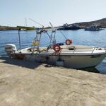 MALTA Comino BlueLagoon Private Boat trips - Who Will Love This Experience?