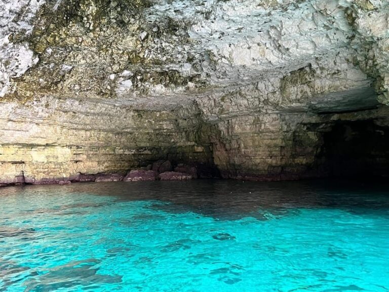 Malta Gozo & Comino: Boat Tour Best Price w/inclusions 4 hrs - Who Should Consider This Tour?