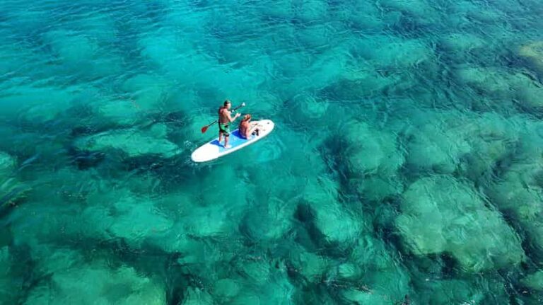 Malta: Guided SUP Tour - Who Should Consider This Tour?