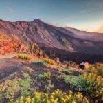 Malta: Mount Etna and Catania Guided Day Trip by Catamaran - Practicalities and Tips