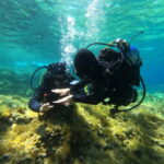 Malta: St. Paul's Bay 1 Day Scuba Diving Course - The Practical Aspects