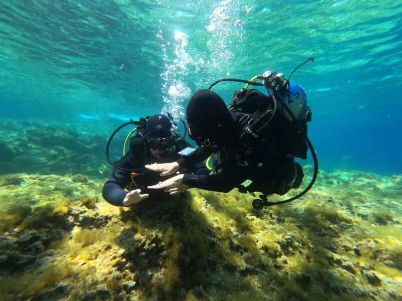 Malta: St. Paul's Bay 1 Day Scuba Diving Course - The Practical Aspects