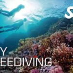 Malta: Try Freediving SSI - Freediving initiation with an instructor in French - The Real Value: Is It Worth It?