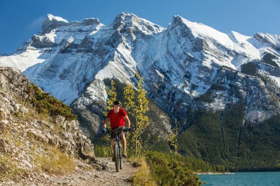 Mammoth: Half-Day Premium Mountain Bike or E-Bike Rental - Why Value Matters