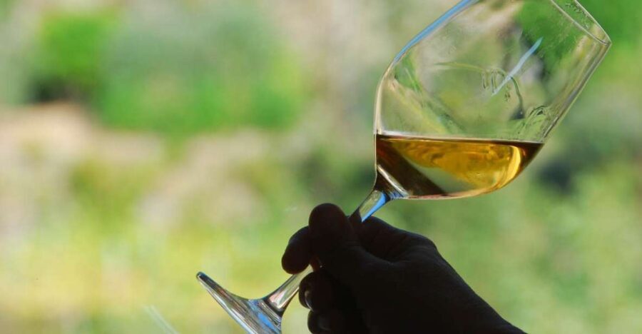Manarola: Cinque Terre Wine Tasting - Why This Tour Stands Out