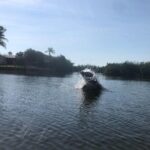 Manatee and Dolphin Kayak Tour - Final Thoughts: Is This Tour Right for You?