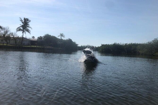 Manatee and Dolphin Kayak Tour - Final Thoughts: Is This Tour Right for You?