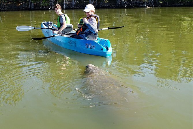 Manatee and Dolphin Kayaking | Wildlife Refuge (Titusville) - Who Would Love This Tour?