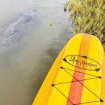Manatee and Nature Tour of Ormond Beach - Why This Tour Stands Out
