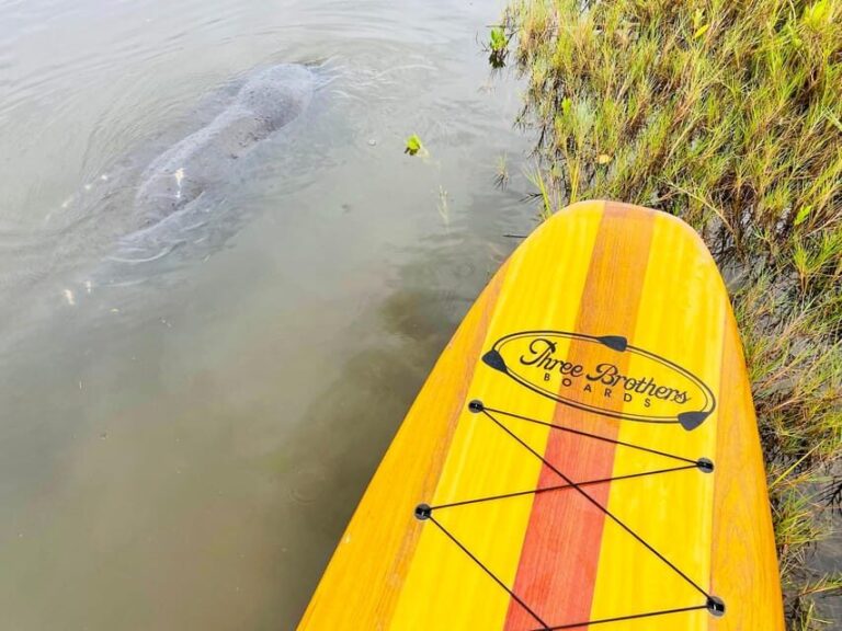 Manatee and Nature Tour of Ormond Beach - Why This Tour Stands Out