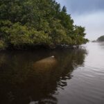 Manatees, Grasslands and Mangroves kayak Tour (Small Group Tour) - Who Should Consider This Tour?