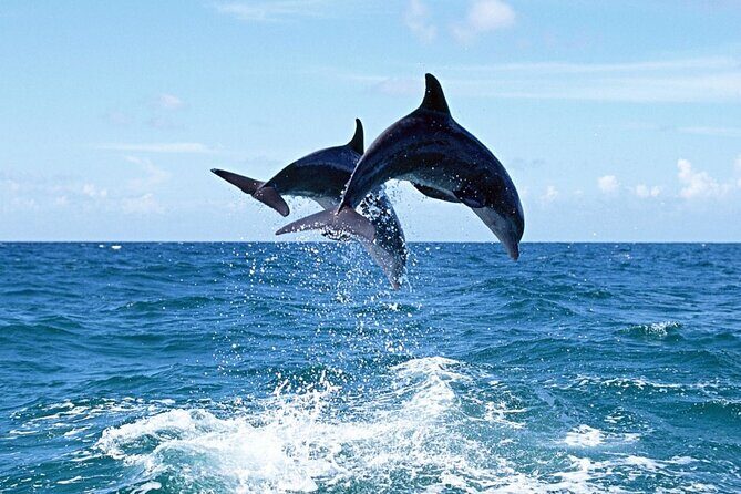 Manavgat and Side Boat Trip with Dolphins Island incl. Lunch - FAQ
