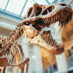 Manchester Museum Private Guided Tour with Admission - In-Depth Look at Museum Highlights