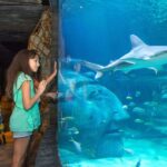 Manchester: SEA LIFE Entrance Ticket - Final Thoughts: Is It Worth It?