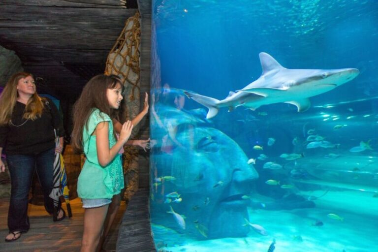 Manchester: SEA LIFE Entrance Ticket - Final Thoughts: Is It Worth It?