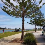Mandurah: Big Toot 30 mins scenic tour - The Sum Up