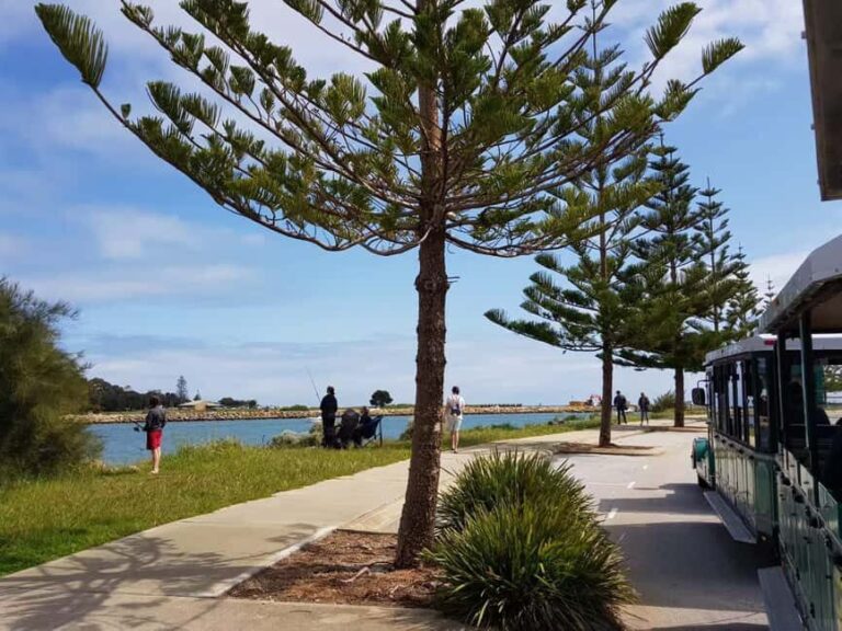 Mandurah: Big Toot 30 mins scenic tour - The Sum Up