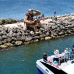 Mandurah: Dolphin & Giant Sightseeing Cruise - Authentic Experiences Based on Reviewer Feedback