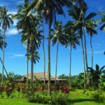 Mangrove to Lagoon Kayak and Paddleboard Adventure - What Makes This Tour Stand Out