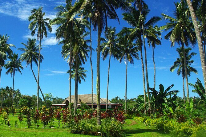 Mangrove to Lagoon Kayak and Paddleboard Adventure - What Makes This Tour Stand Out