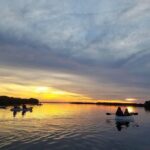 Mangrove Tunnels, Dolphins, Manatee Tour #1 Rated in Cocoa Beach - The Experience: What You Can Expect During Your Tour