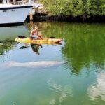 Mangroves and Manatees - Guided Kayak Eco Tour - In-Depth Review of the Mangroves and Manatees Eco Tour
