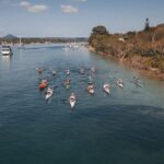 Mangroves and Mansions Guided Kayak Tour on the Noosa River - Practical Details: What to Expect