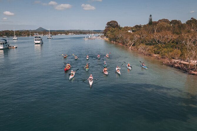 Mangroves and Mansions Guided Kayak Tour on the Noosa River - Practical Details: What to Expect