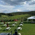 Manhattan: Millbrook Vineyards & Winery Private Tour - Exploring the Itinerary and Experience