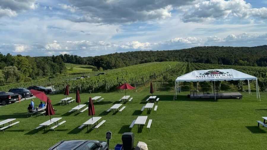 Manhattan: Millbrook Vineyards & Winery Private Tour - Exploring the Itinerary and Experience