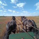 Manitoba: Horse-Drawn Wagon Ride in Spruce Woods Park - Exploring the Spirit Sands Wagon Ride: A Deep Dive