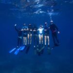 Manly: Beginner Freediving: Breath-Hold & Ocean Exploration - FAQs