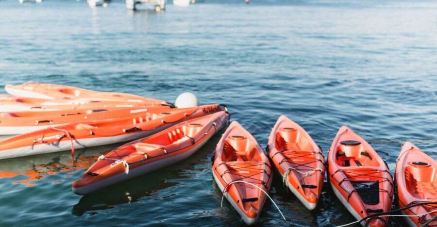 Manly: Mini Kayak Tour on Sydney's North Harbour - Exploring Sydney’s North Harbour by Kayak: A Practical Guide