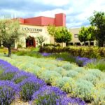 Manosque: L'Occitane en Provence Guided Factory Tour - A Closer Look at the Manosque Experience