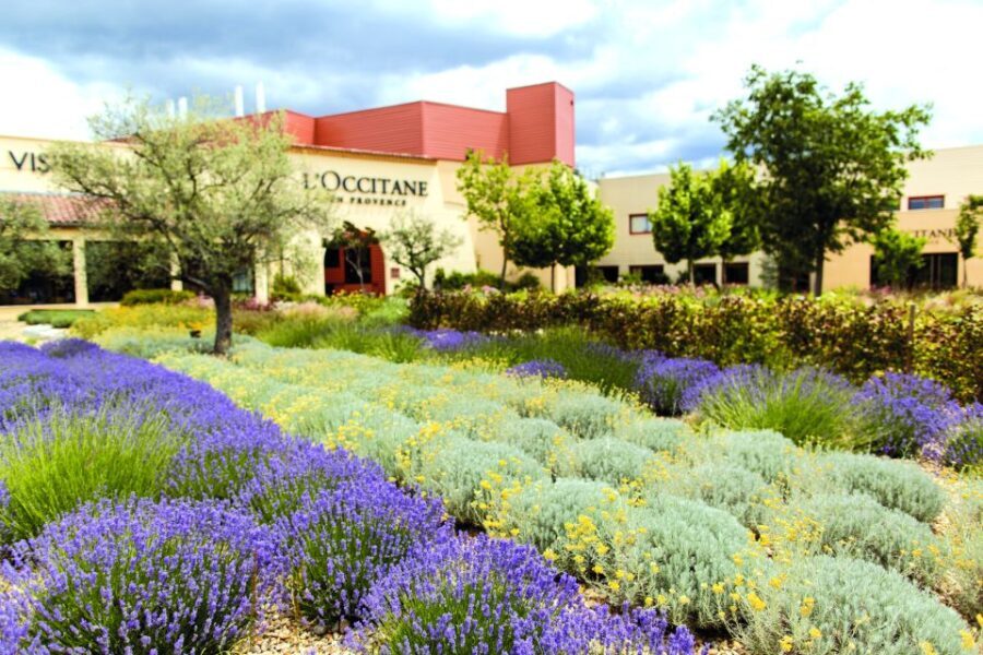 Manosque: L'Occitane en Provence Guided Factory Tour - A Closer Look at the Manosque Experience