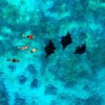 Manta Ray Experience - Authentic Feedback from Travelers