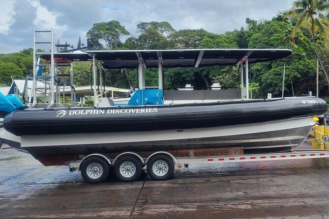 Manta Ray Night Snorkel at Kona, Big Island - What Makes This Tour Stand Out