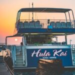 Manta Ray Night Snorkel Tour from Kona - How Does This Tour Compare in Value?