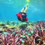 Mantaray Island Day Trip with Lunch - Final Thoughts