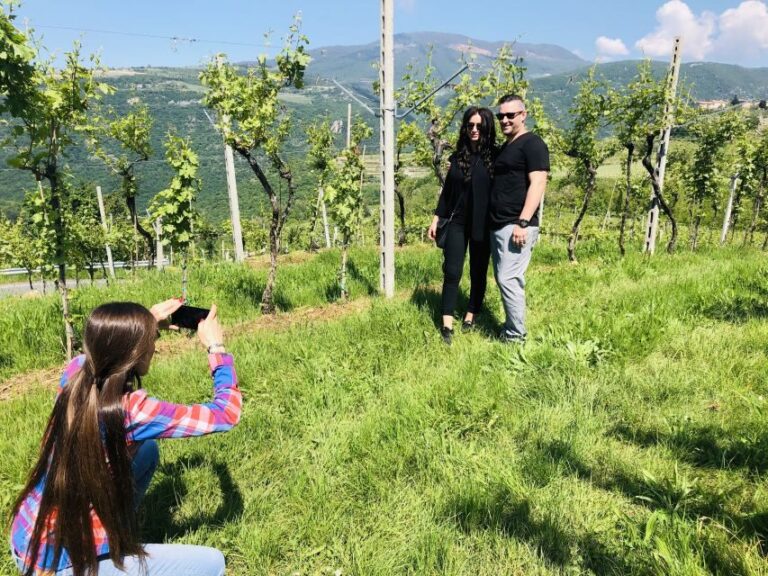 Marano di Valpolicella: DOP Olive Oil Tasting Experience - What to Expect on the Tour