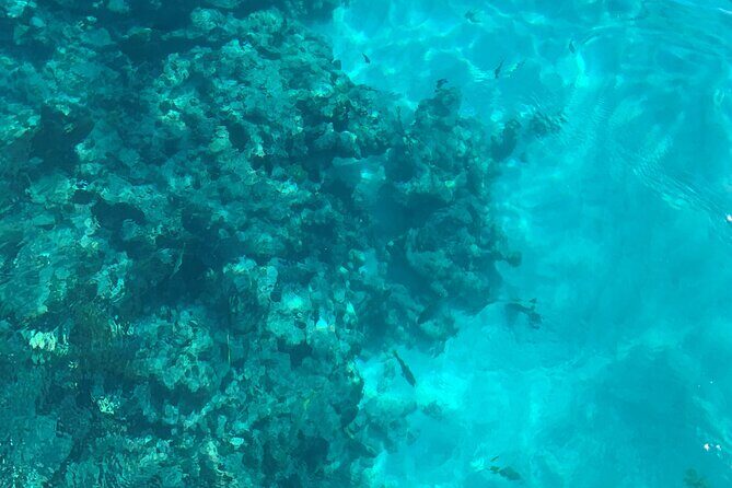 Marathon Sombrero Reef Snorkeling and Sandbar Swim - Exploring the Itinerary in Detail