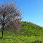 Marathon, Thermopylae/ Herodotus History private tour (9 hours) - Frequently Asked Questions