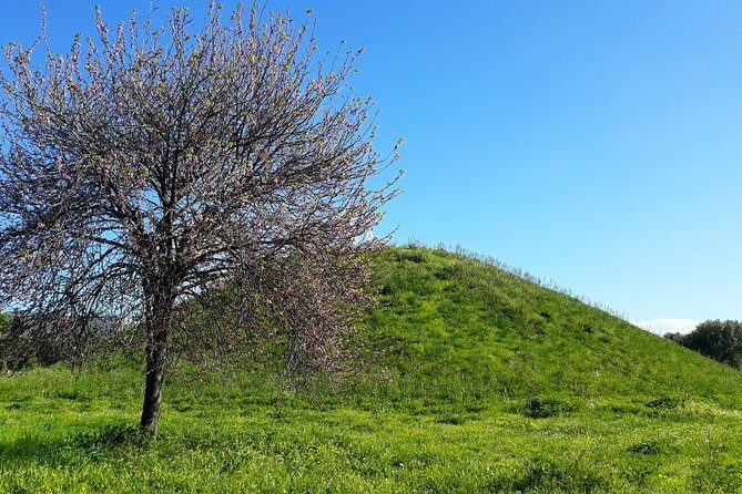 Marathon, Thermopylae/ Herodotus History private tour (9 hours) - Frequently Asked Questions