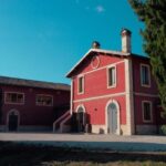 Marche: Tasting and Tour of Local Wines and Tastes at D'Erasmo Winery - Final Thoughts