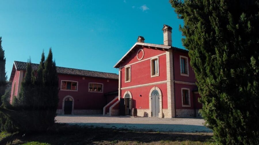 Marche: Tasting and Tour of Local Wines and Tastes at D'Erasmo Winery - Final Thoughts