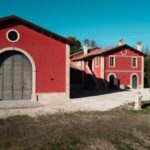 Marche: unique visit and tasting at D'Erasmo Winery among signature wines - Practicalities and Value
